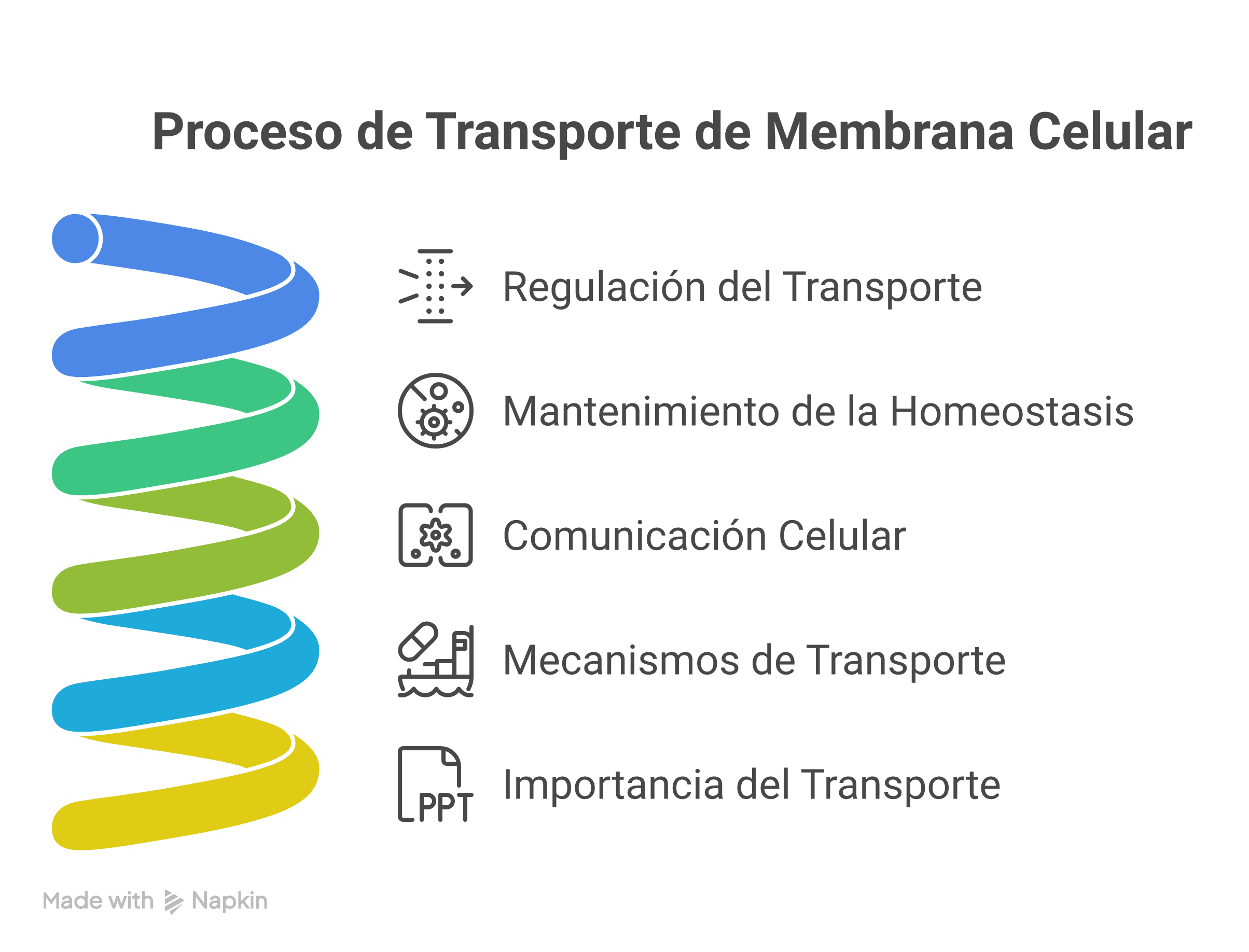 Diagrama del transporte a través de la membrana celular que muestra mecanismos de regulación del transporte, mantenimiento de la homeostasis, comunicación celular y diferentes tipos de transporte de moléculas.
