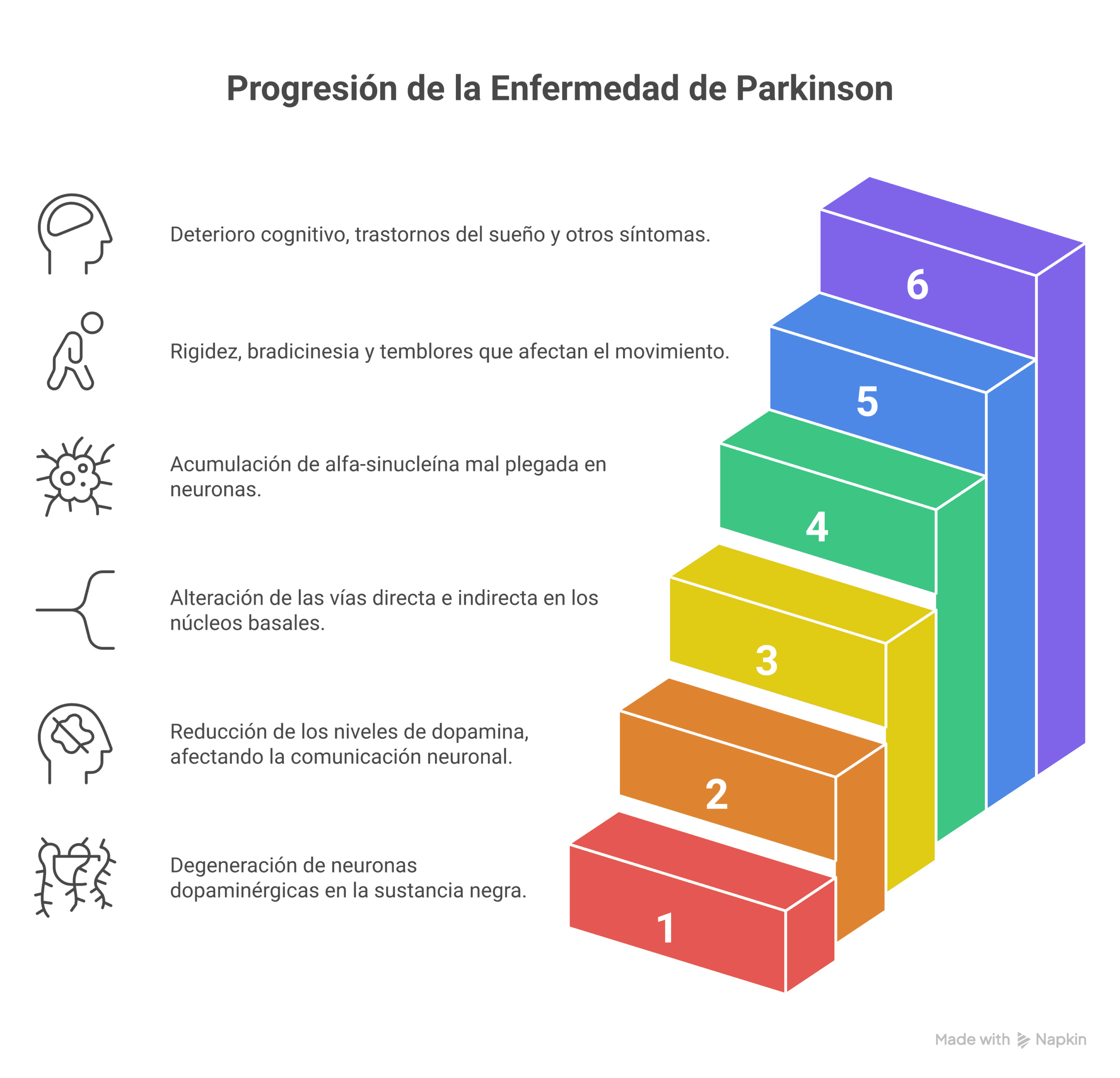Esquema de fisiopatología enfermedad de Parkinson mostrando pérdida de neuronas dopaminérgicas, acumulación de cuerpos de Lewy y desequilibrio en núcleos basales