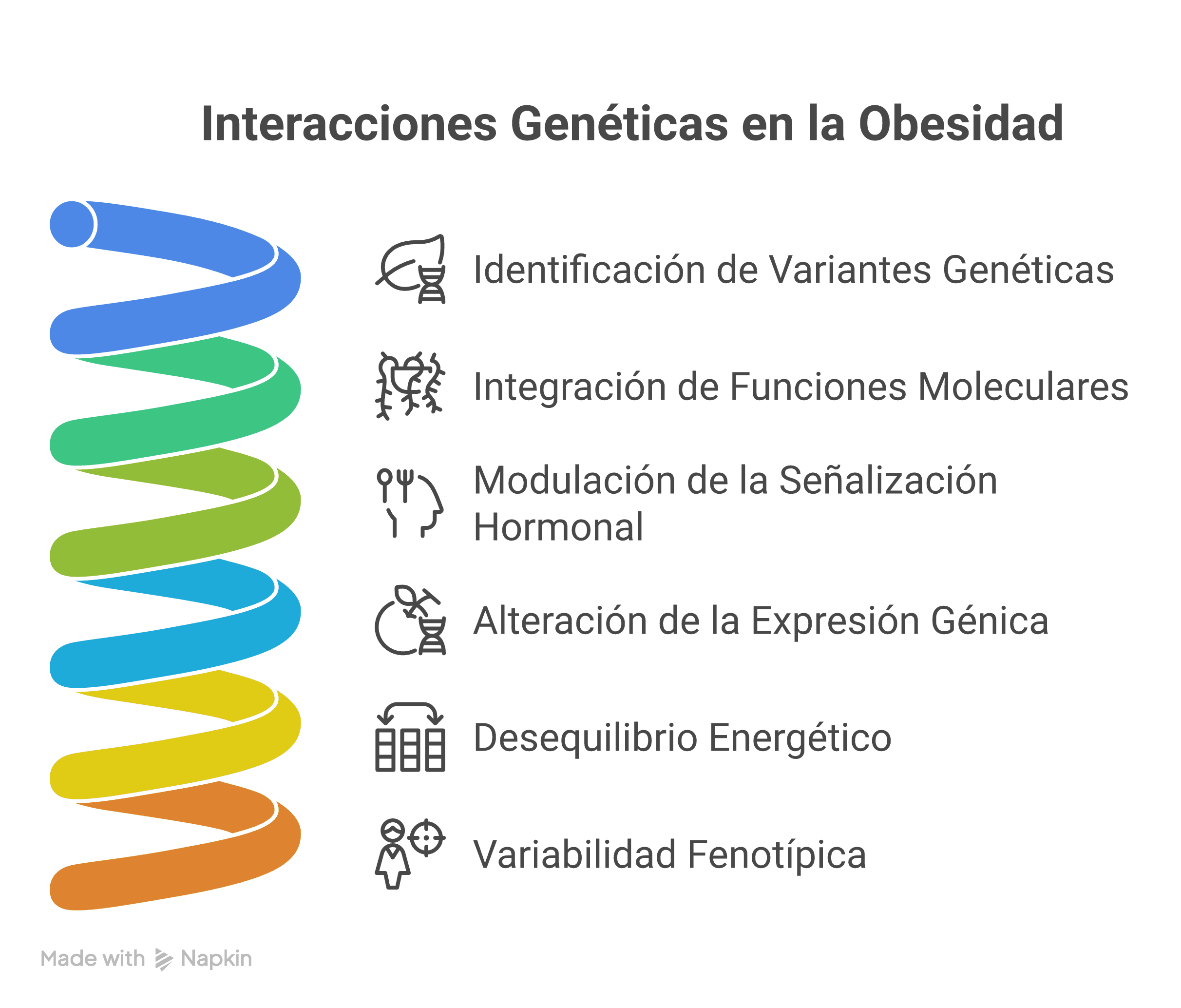 Diagrama que muestra cómo variantes genéticas influyen en la obesidad mediante la integración de funciones moleculares, modulación hormonal, cambios en la expresión génica y alteraciones del equilibrio energético.