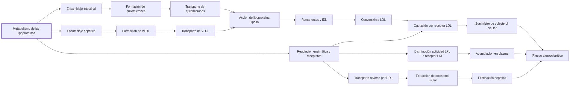Diagrama del metabolismo de lipoproteínas