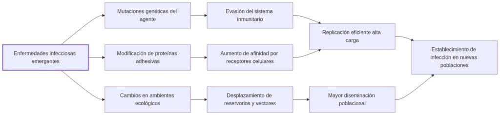 Diagrama de fisiopatologia: Las enfermedades infecciosas emergentes surgen por mutaciones en el agente que modifican adhesión y evasión inmune, afectando entrada celular y propagación, influenciadas por factores ecológicos y poblacionales.